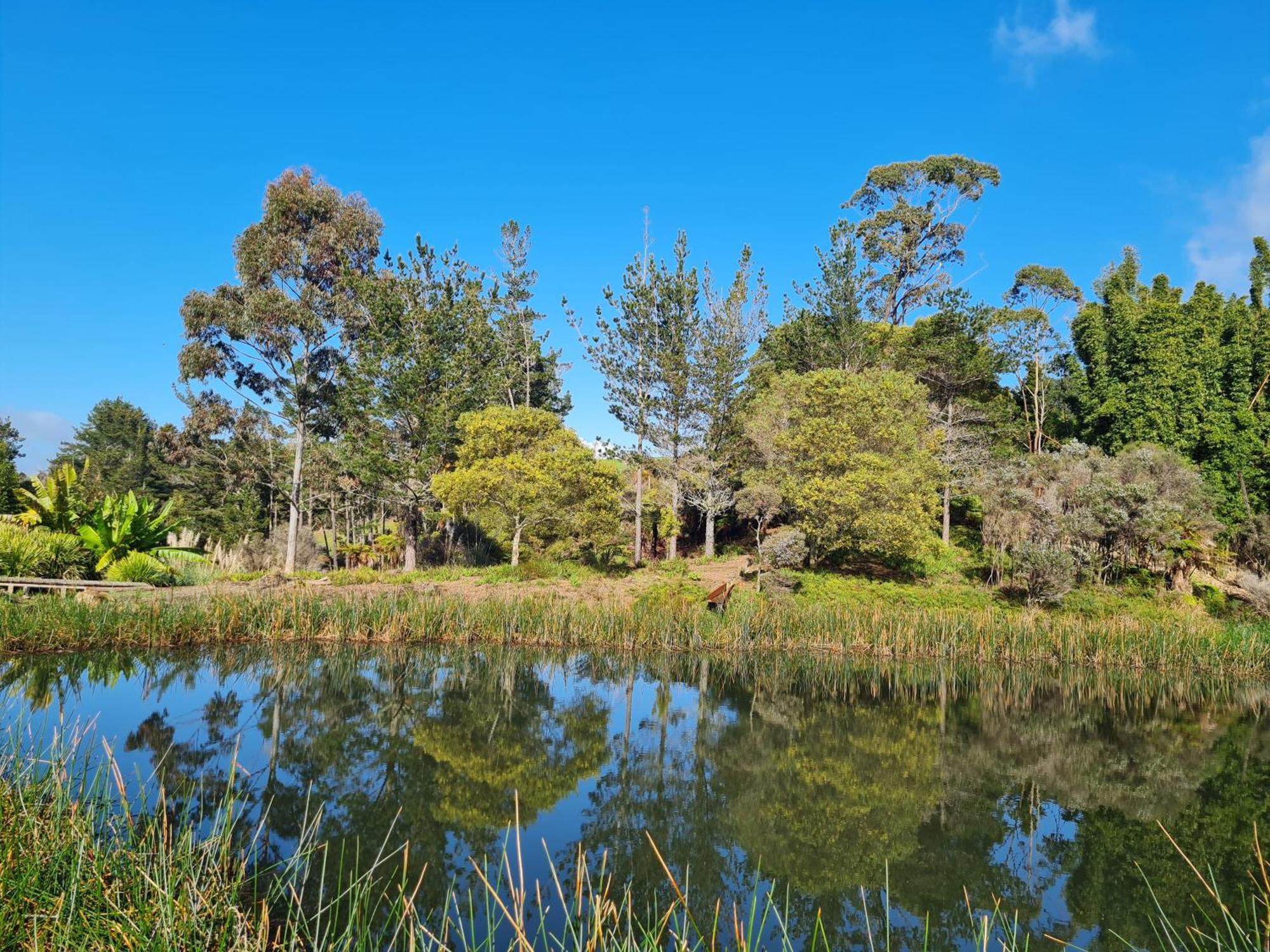 Dragonfly Barn - Kerikeri Villa Exterior photo